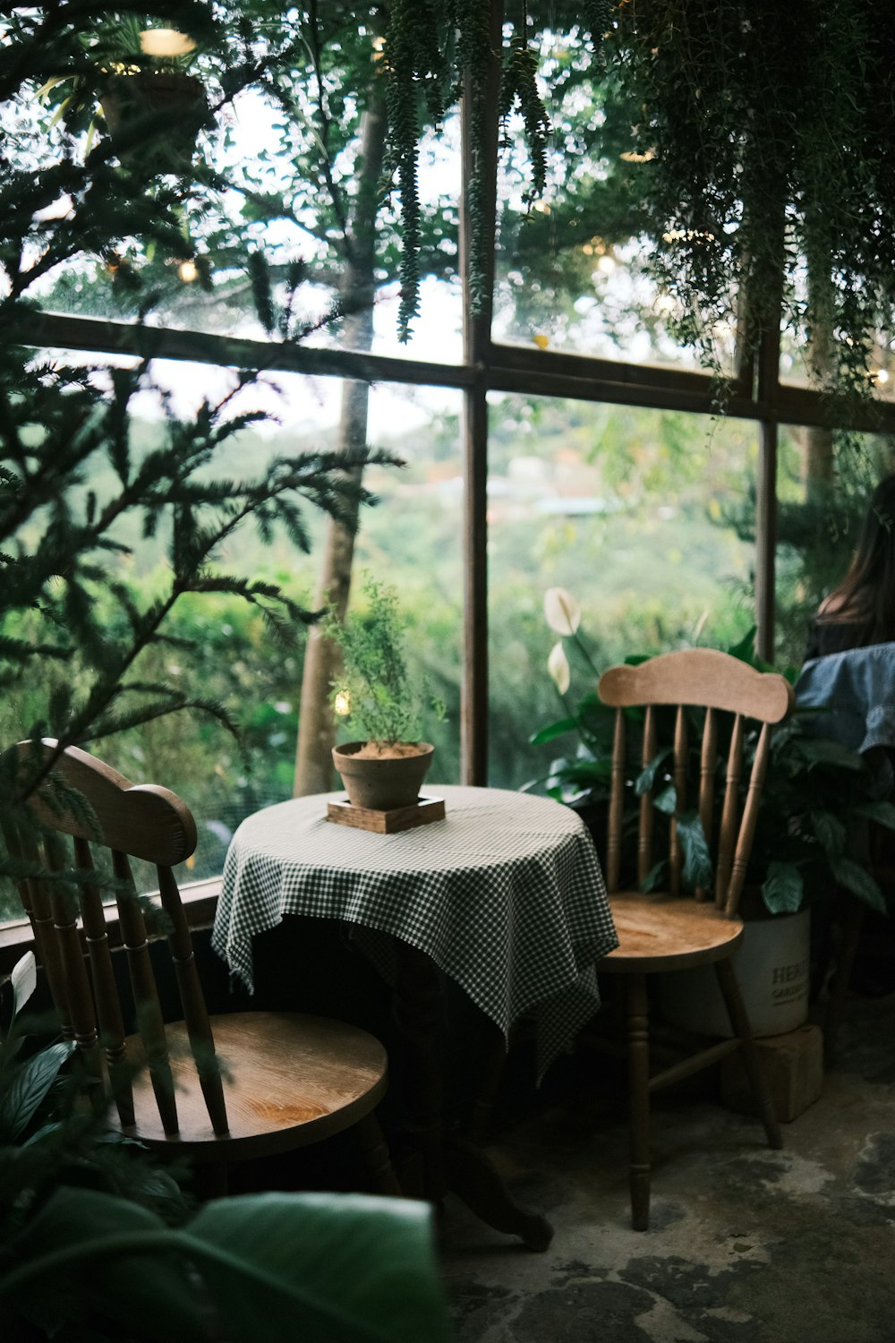 a woman sitting at a table with a potted plant on top of it