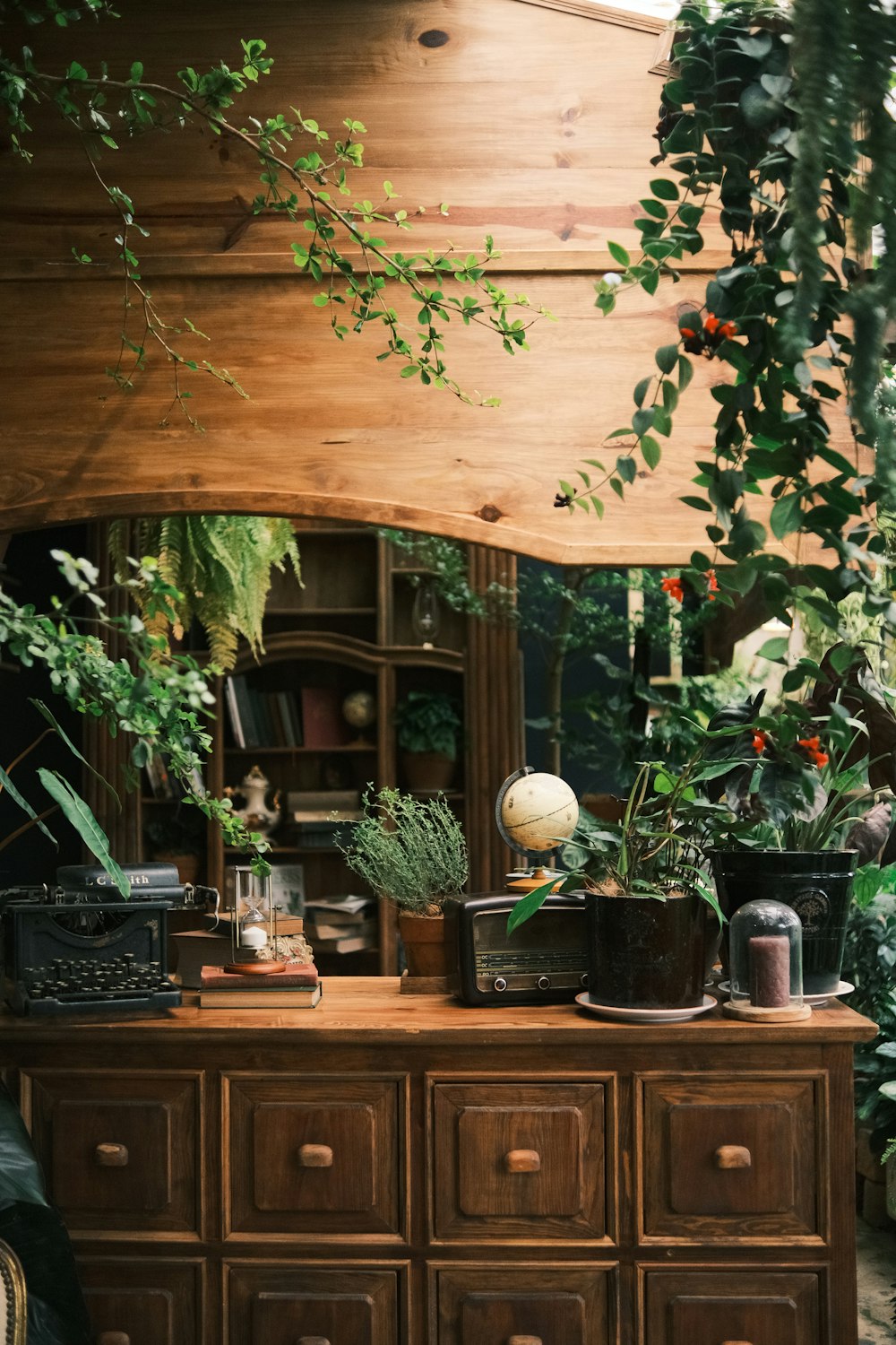 a wooden dresser topped with lots of potted plants
