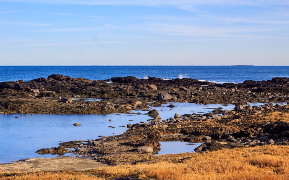 a large body of water sitting next to a rocky shore