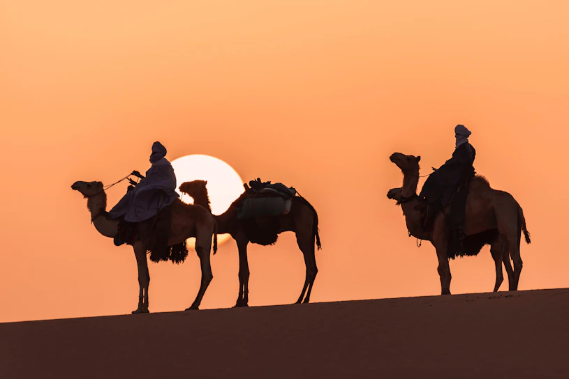 A joyful couple enjoying a sunset camel ride in Rajasthan's desert.