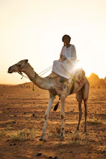 A traveler enjoying a camel ride at sunset in the Sahara desert near Merzouga.