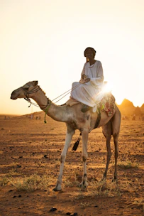 A traveler enjoying a camel ride at sunset in the Sahara desert near Merzouga.