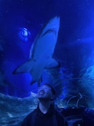 A satisfied customer using the software at an aquarium.