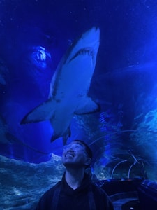 A man wearing glasses smiles while looking up at a large shark swimming above him in a blue-lit aquarium setting. The water tunnel creates an immersive experience, surrounding him with aquatic scenery.