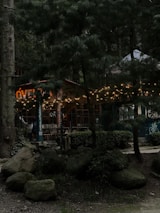 A cozy building nestled in a forested area is festooned with string lights, creating a warm, inviting glow against the backdrop of dense pine trees. Large rocks and a pathway are visible in the foreground, leading to a bike-themed establishment as indicated by a sign.