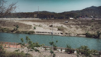 An engineer reviewing blueprints beside a flowing river surrounded by green trees.
