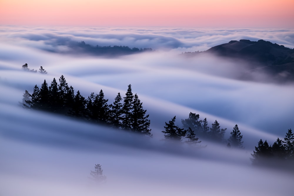 un paesaggio nebbioso con alberi e montagne in lontananza