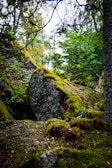 A serene outdoor scene showing a necklace resting on a moss-covered rock, sunlight filtering through leaves.