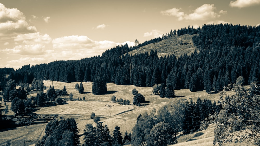 Una foto en blanco y negro de una cadena montañosa