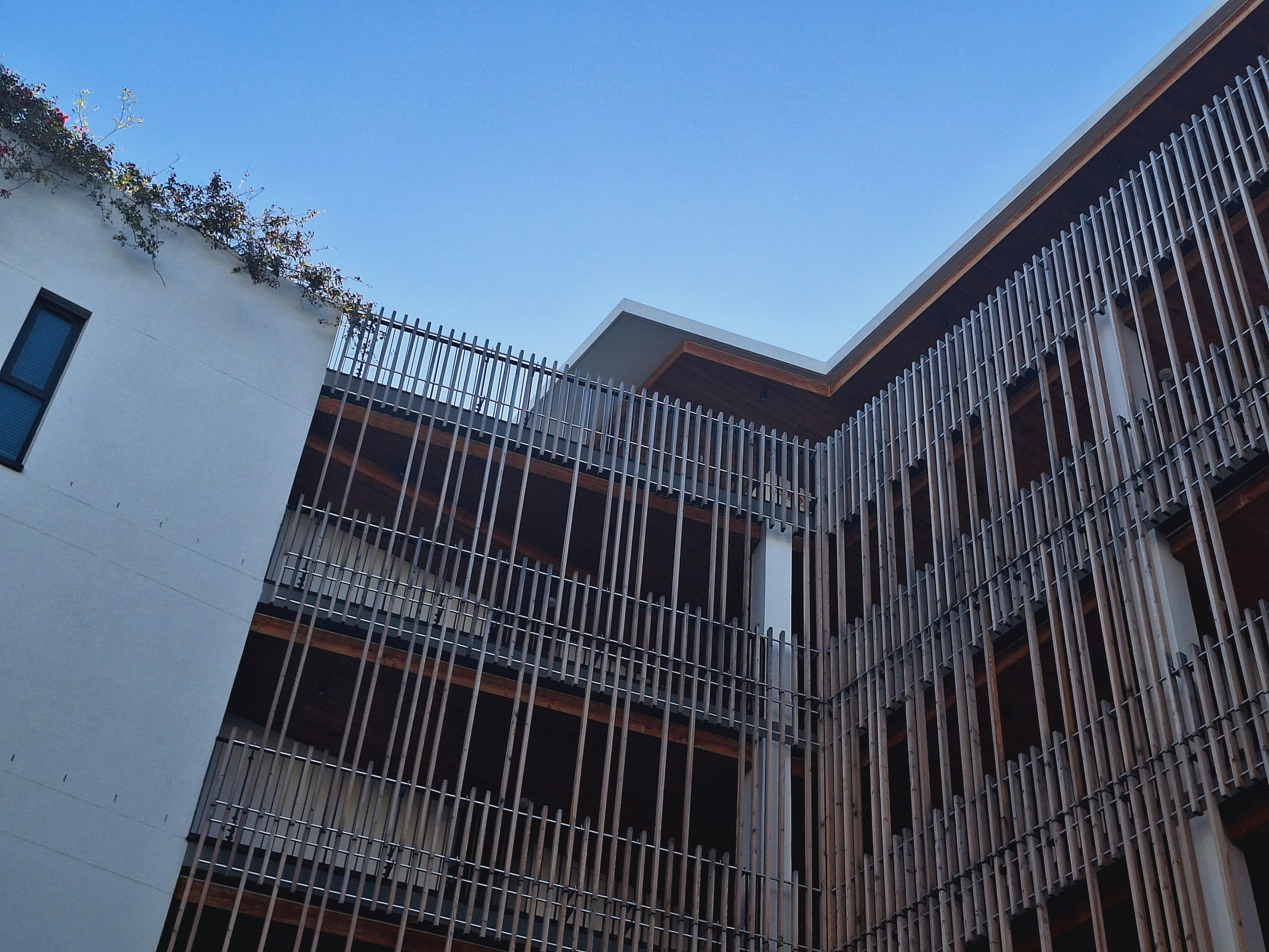 Photo by i_r_0_n_i_c