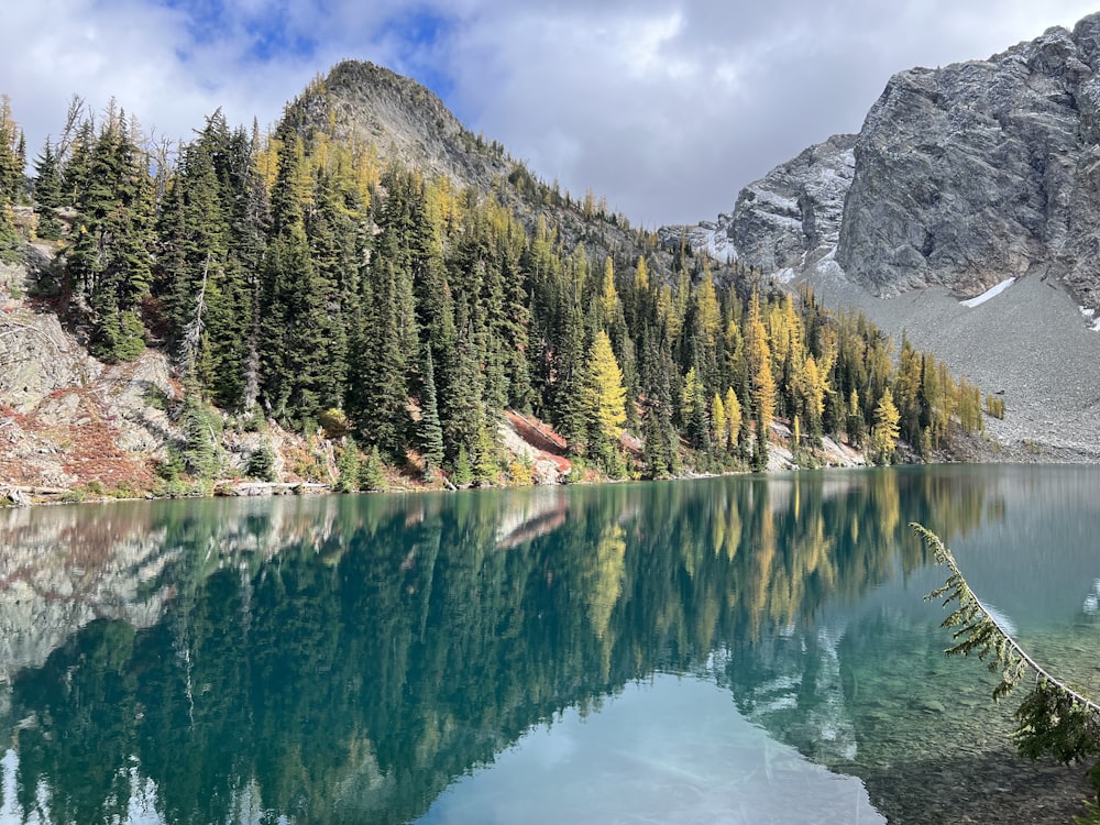 a lake surrounded by trees and mountains