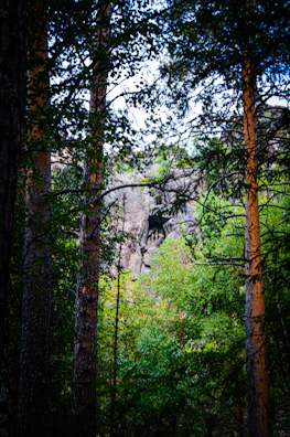 Lush greenery and rugged cliffs of a less explored Andaman trail.