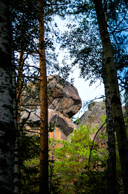 Lush greenery framing the ancient rock formations in the afternoon light.