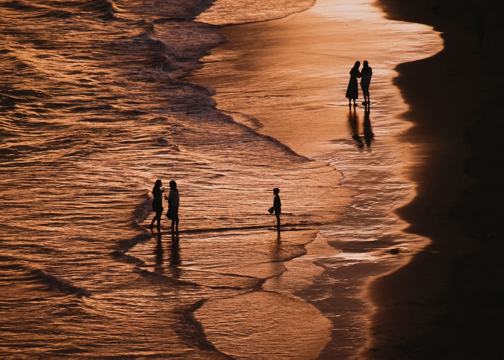 a group of people standing on top of a beach next to the ocean