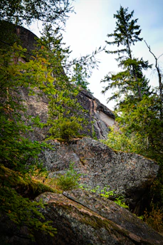 A rugged, natural landscape featuring large rocky outcrops surrounded by lush greenery, including various trees and plants. Sunlight filters through the foliage, casting dappled shadows on the rocks. The scene conveys a sense of wilderness and untouched nature.