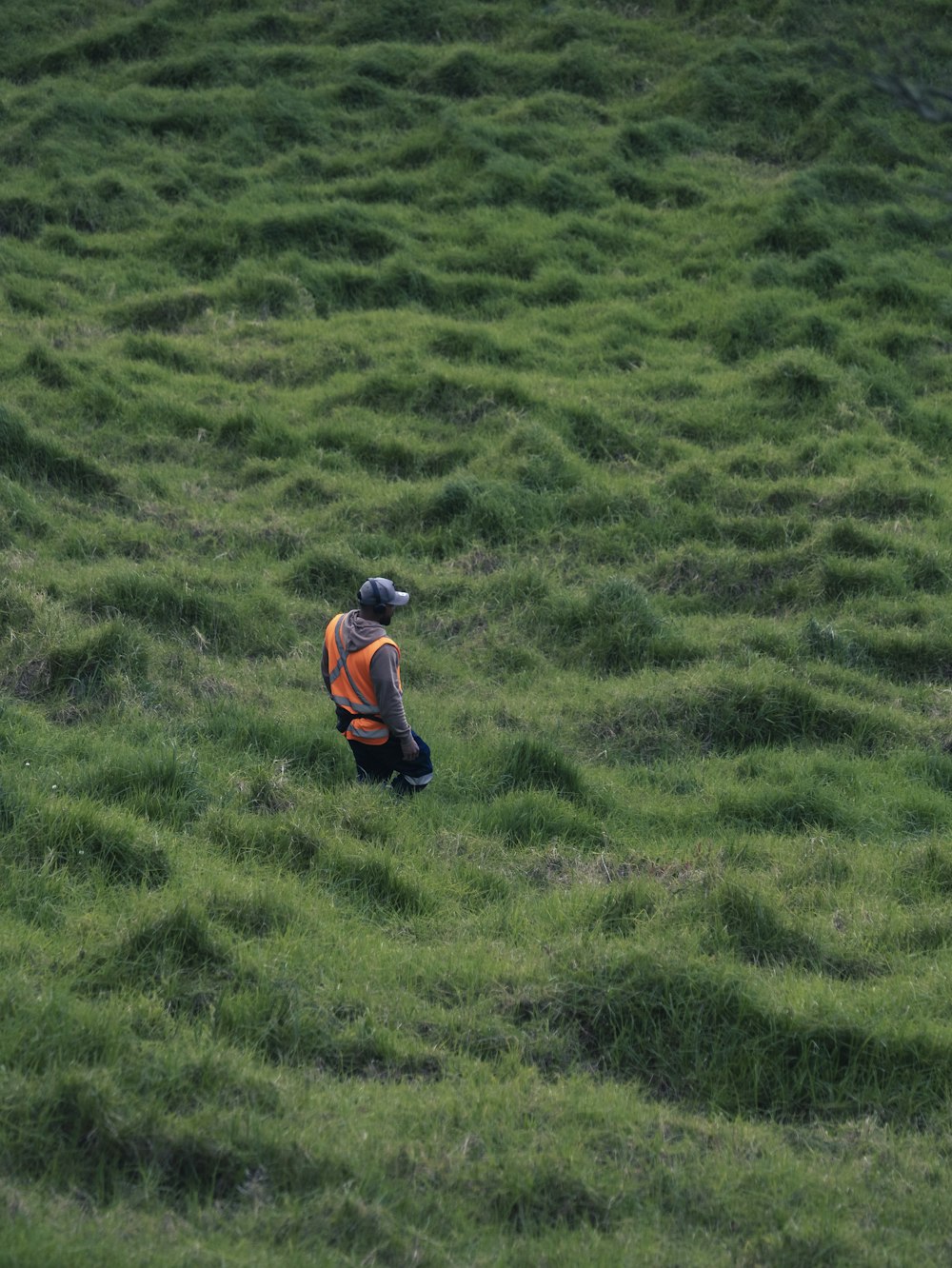 Un hombre con un chaleco naranja camina por un campo