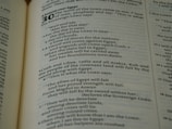 A close-up of a page from a book featuring religious text, with the chapter title 'A lament over Egypt' and large numeral '30' at the top. The text includes prophecies and speaks of nations, clouds, Egypt, and sword imagery.
