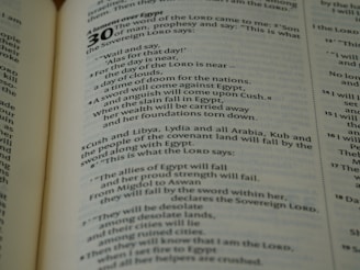 A close-up of a page from a book featuring religious text, with the chapter title 'A lament over Egypt' and large numeral '30' at the top. The text includes prophecies and speaks of nations, clouds, Egypt, and sword imagery.