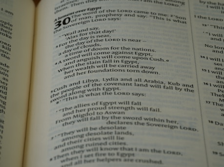 A close-up of a page from a book featuring religious text, with the chapter title 'A lament over Egypt' and large numeral '30' at the top. The text includes prophecies and speaks of nations, clouds, Egypt, and sword imagery.