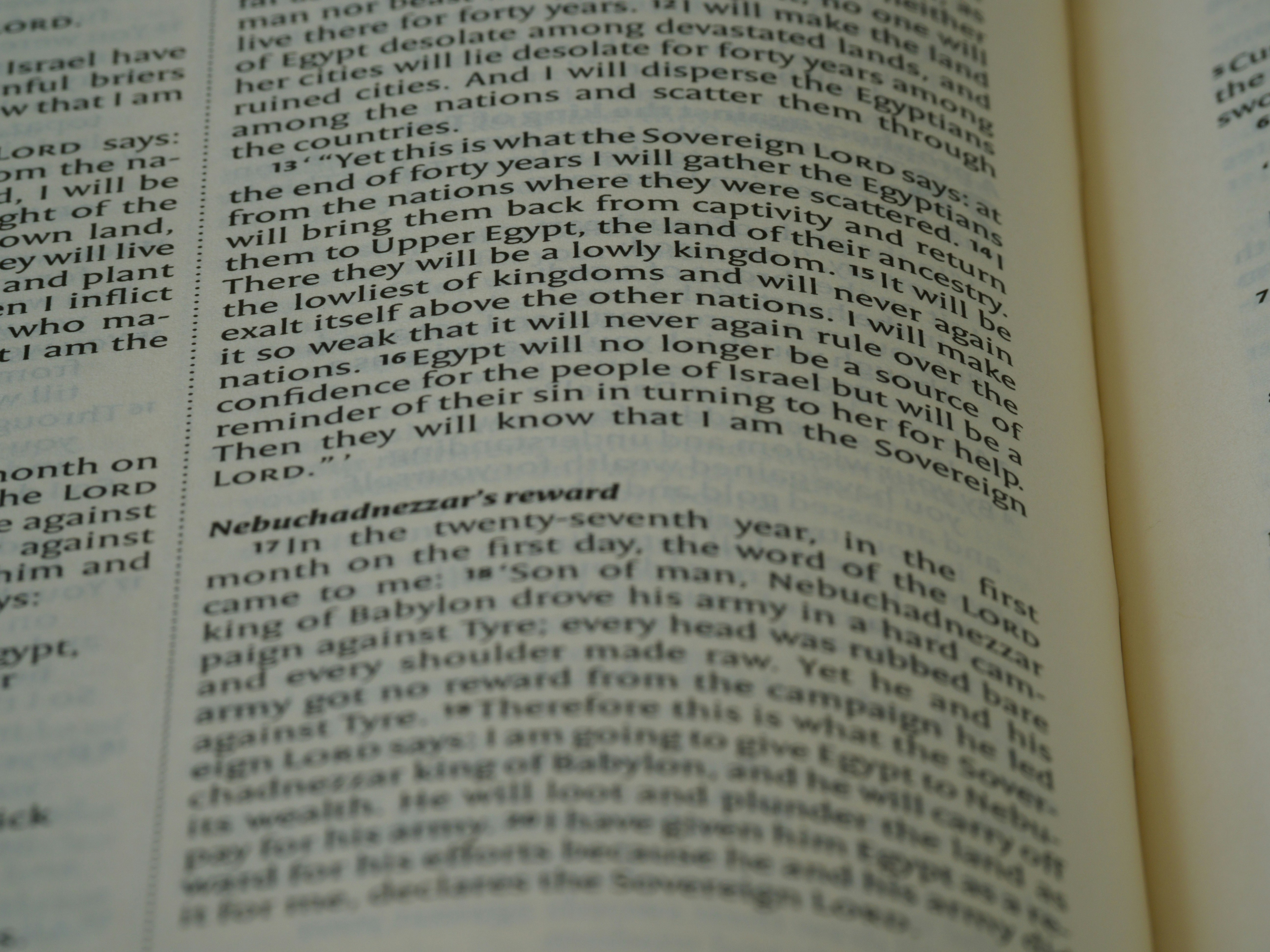 close up, bokeh, macro, blur, blurred background, close focus, bible, old testament, hebrew bible, christian, judaism, history, text, reading, bible study, devotions, text, NIV, New International Version, type, typography, canon, christianity, holy scripture, holy bible, scripture, old testament, hebrew bible, prophecy, exile, judgement, judgment, redemption, ezekiel, ezechiel, יְחֶזְקֵאל ,Yəḥezqēʾl, septuagint, book of ezekiel, prophet, prophecy, son of buzi, destruction of jerusalem, restoration of israel, restoration, babylonian captivity, babylon,