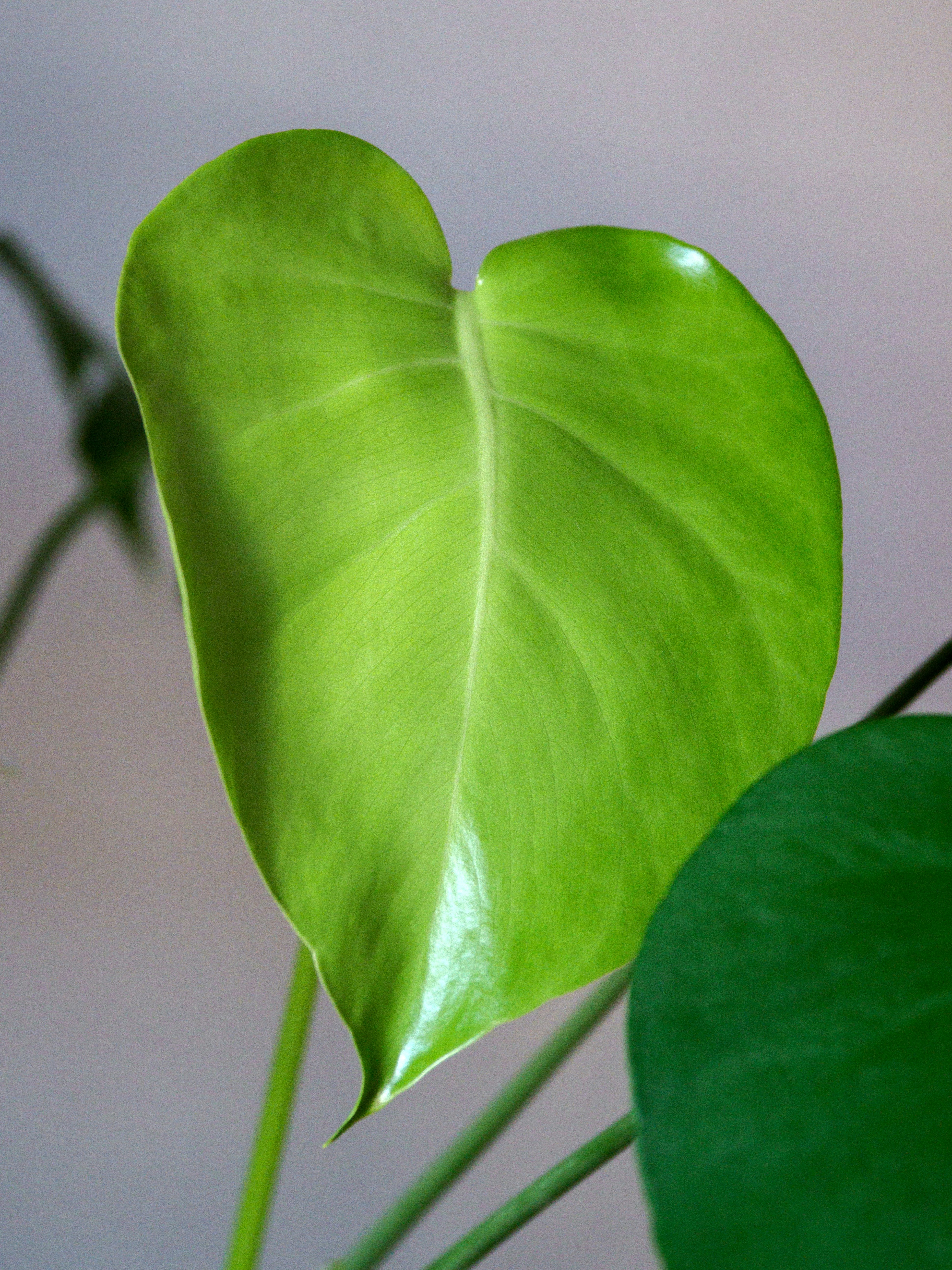 Photo by brett_jordan