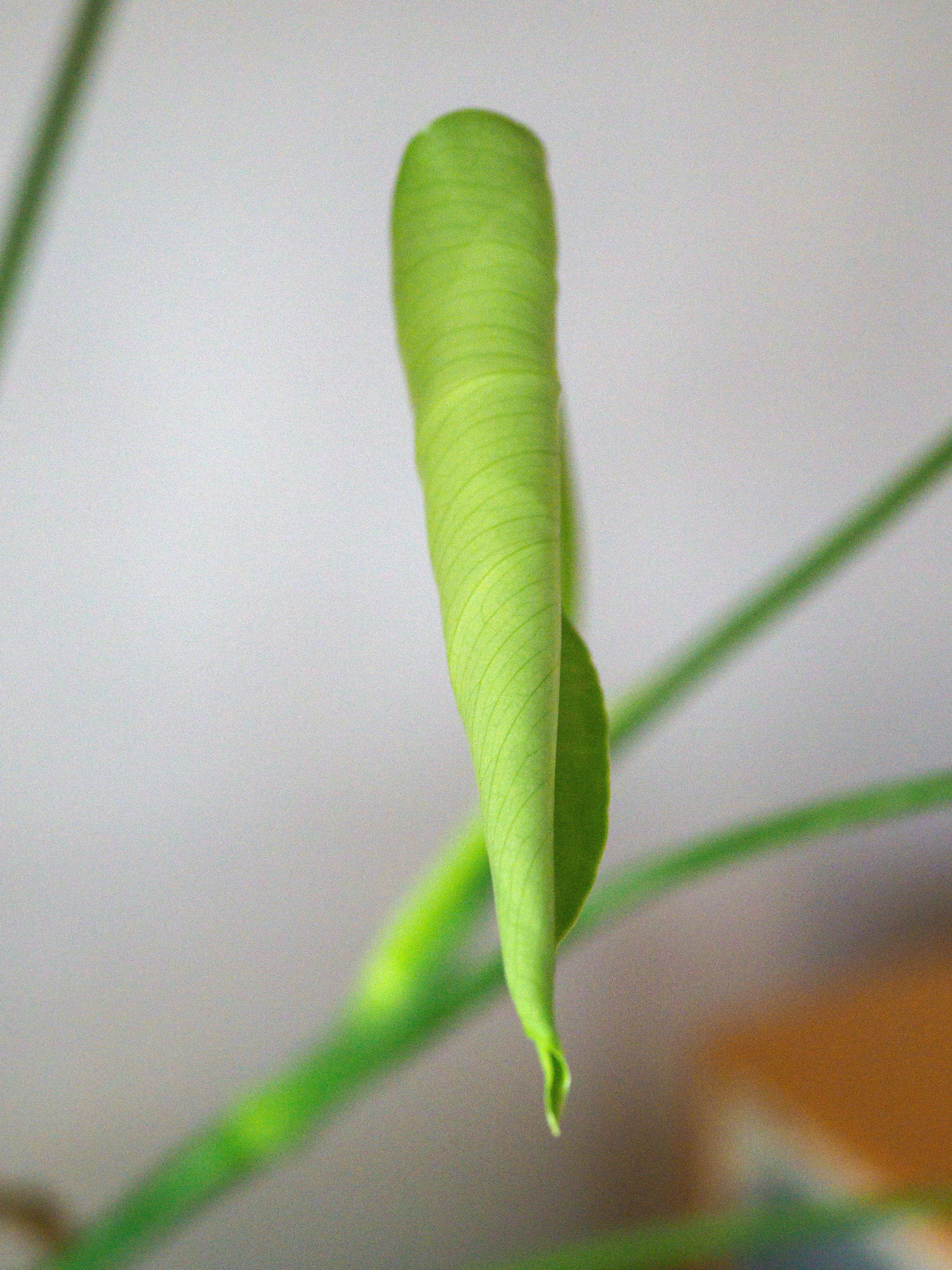 Photo by brett_jordan