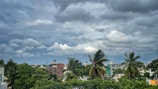 A cityscape featuring a layer of dense, dark clouds overhead, suggesting an impending storm. Tall palm trees sway gently, surrounded by lush greenery and urban buildings in the background. The atmosphere hints at a tropical, possibly coastal environment.