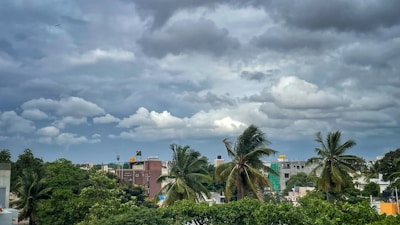 A cityscape featuring a layer of dense, dark clouds overhead, suggesting an impending storm. Tall palm trees sway gently, surrounded by lush greenery and urban buildings in the background. The atmosphere hints at a tropical, possibly coastal environment.