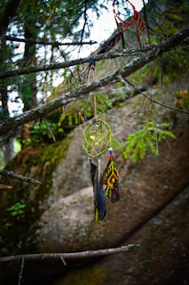 A dreamcatcher with a green web and colorful feathers hangs from the branch of a tree. The background consists of blurred branches and rocks, giving an earthy and natural atmosphere.