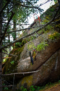 A dreamcatcher hangs delicately from a tree branch in a forested area. The intricate design features feathers and beads, with a vibrant red and green color scheme. The background consists of large moss-covered rocks and dense greenery, creating a serene and natural setting.