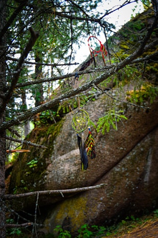 A dreamcatcher hangs delicately from a tree branch in a forested area. The intricate design features feathers and beads, with a vibrant red and green color scheme. The background consists of large moss-covered rocks and dense greenery, creating a serene and natural setting.