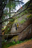 A dreamcatcher hangs delicately from a tree branch, with intricate beads and feathers. Behind it, a large, moss-covered boulder sits amid a forest backdrop, surrounded by lush greenery and partially hidden by tree branches. The setting reflects a serene and natural environment, adding a mystical vibe to the scene.