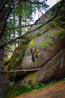 A dreamcatcher hangs delicately from a tree branch, with intricate beads and feathers. Behind it, a large, moss-covered boulder sits amid a forest backdrop, surrounded by lush greenery and partially hidden by tree branches. The setting reflects a serene and natural environment, adding a mystical vibe to the scene.
