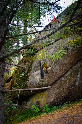 A dreamcatcher hangs delicately from a tree branch, with intricate beads and feathers. Behind it, a large, moss-covered boulder sits amid a forest backdrop, surrounded by lush greenery and partially hidden by tree branches. The setting reflects a serene and natural environment, adding a mystical vibe to the scene.