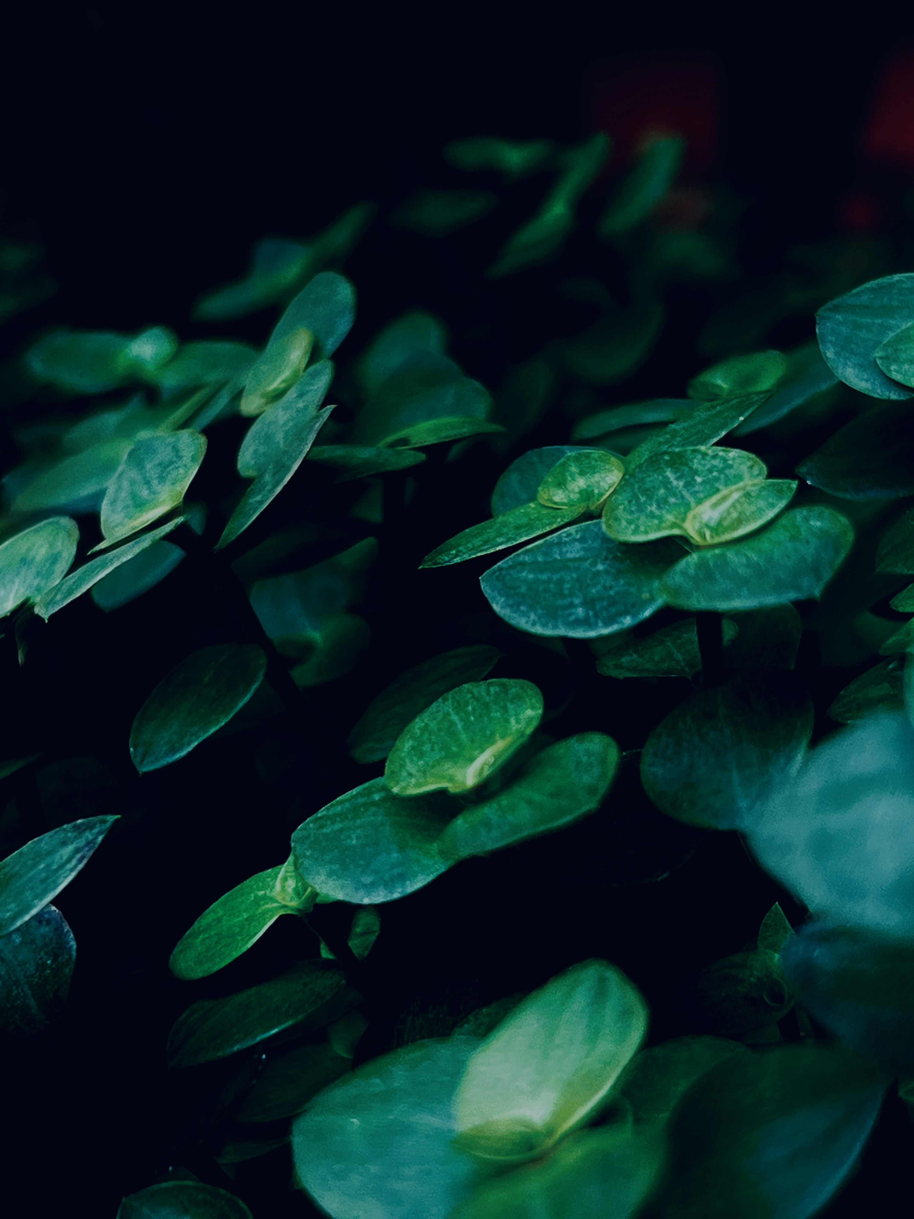 Photo by thanhliem178