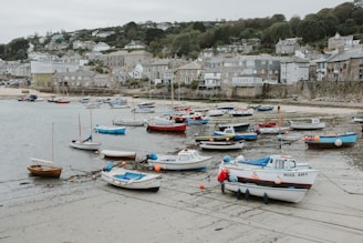 boats in the harbour