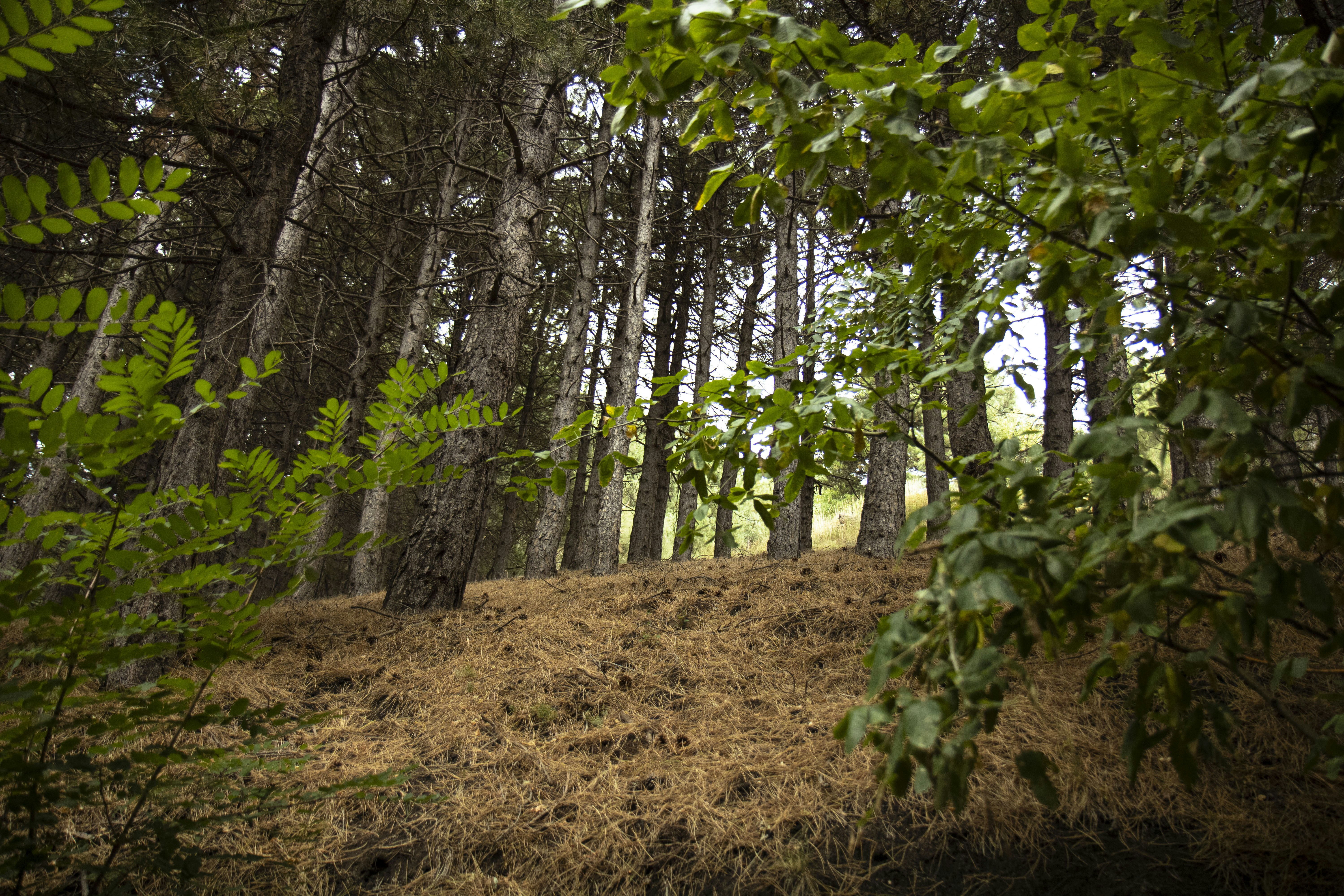 Photo by davidcultre