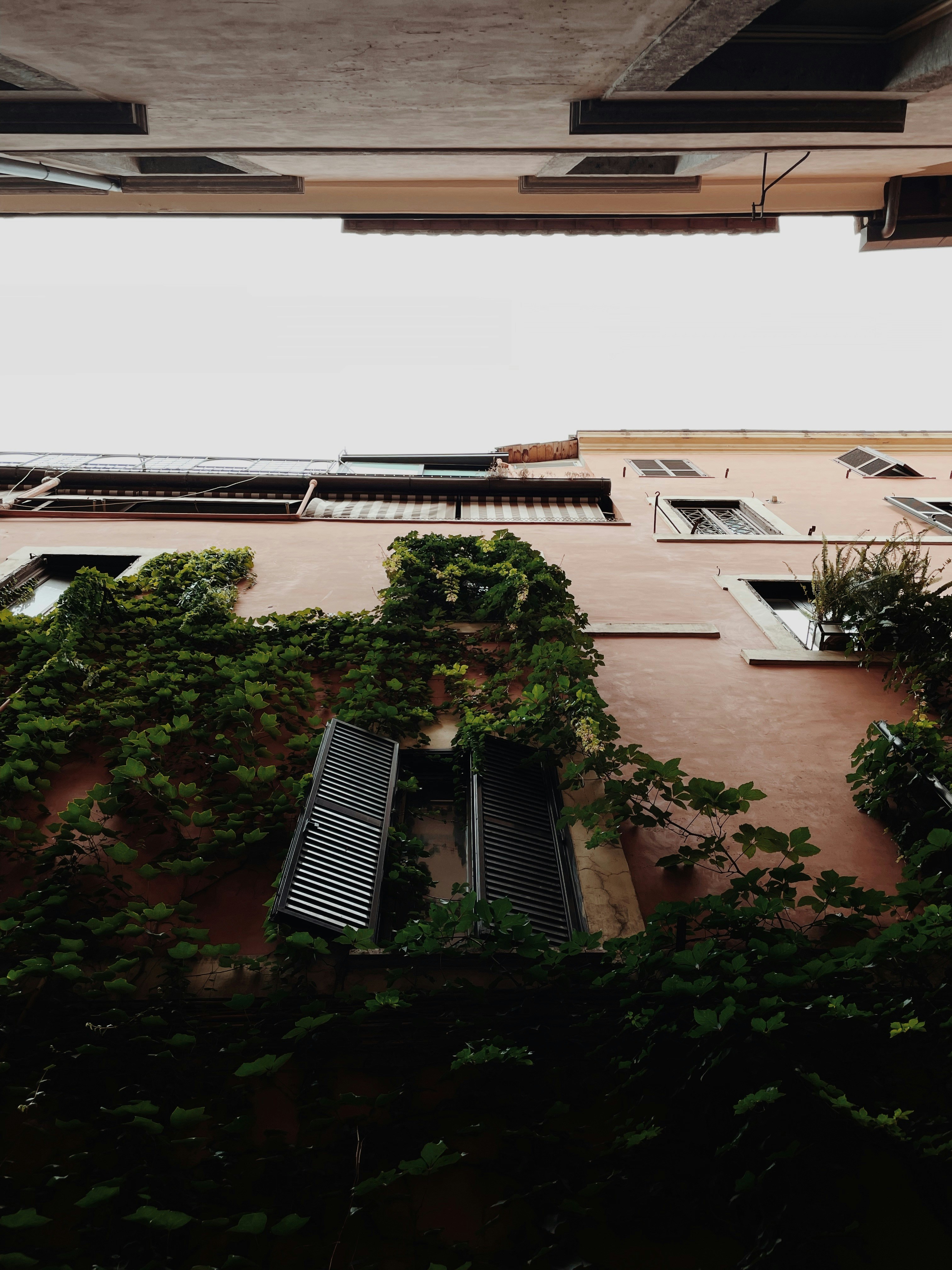 Photo by valik_chern