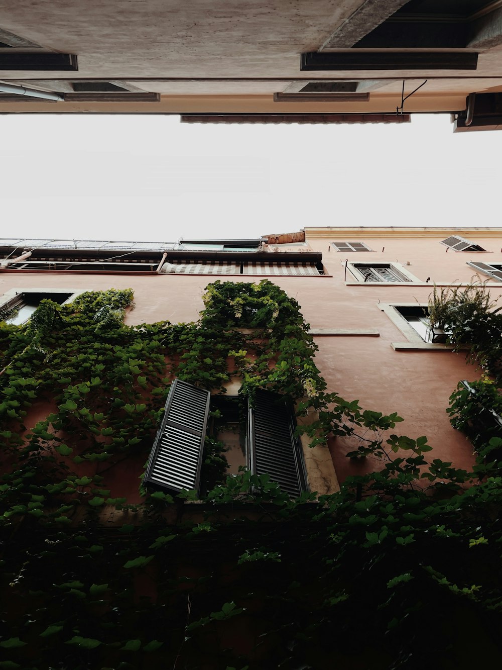 a building with a bunch of plants growing on it