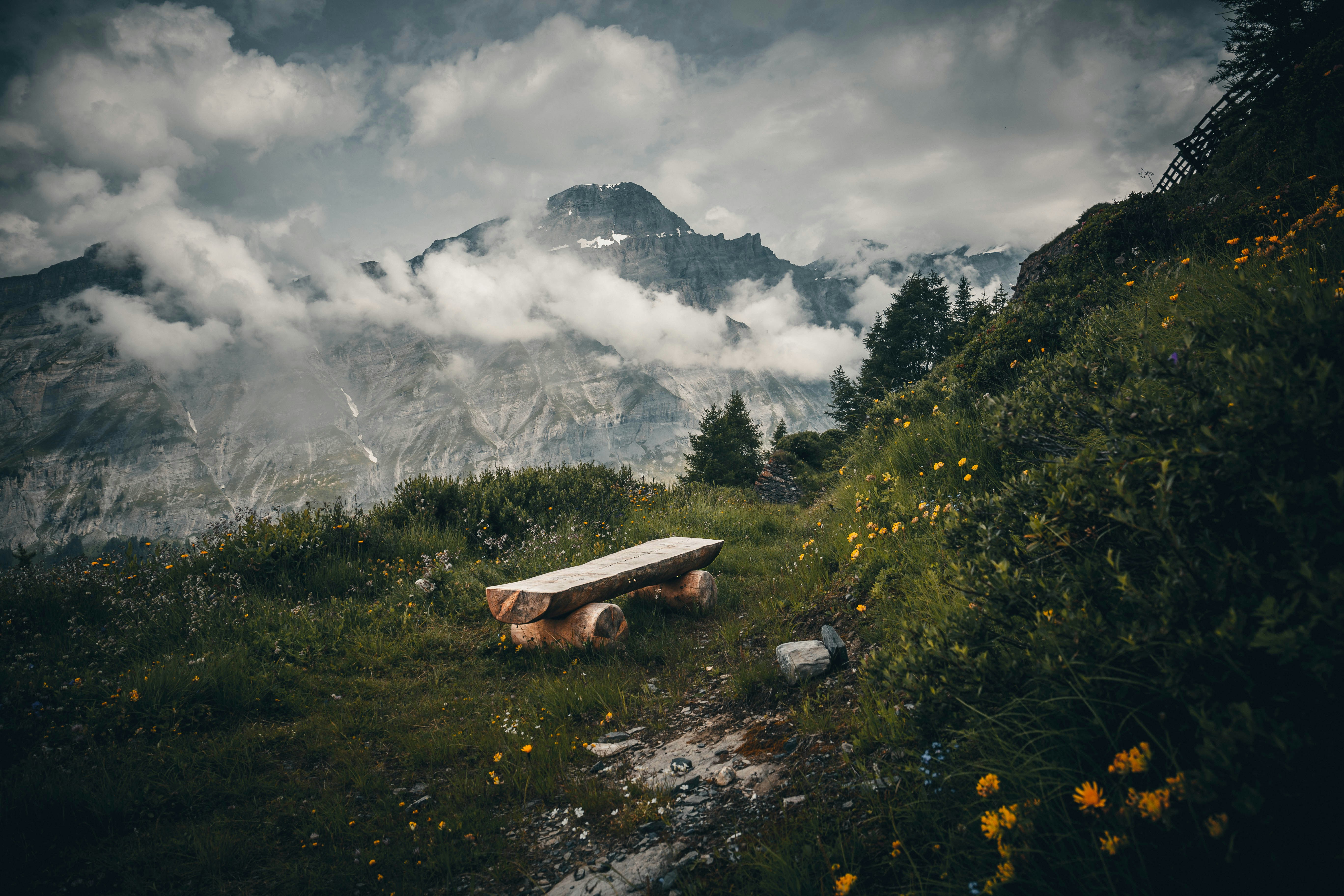 una panchina di legno seduta sulla cima di una collina verde lussureggiante