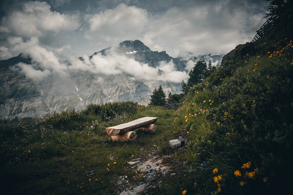 a wooden bench sitting on top of a lush green hillside