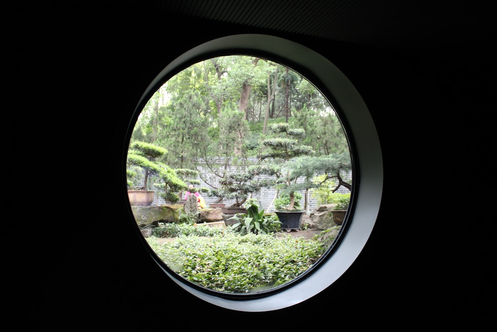 a view of a garden through a circular window