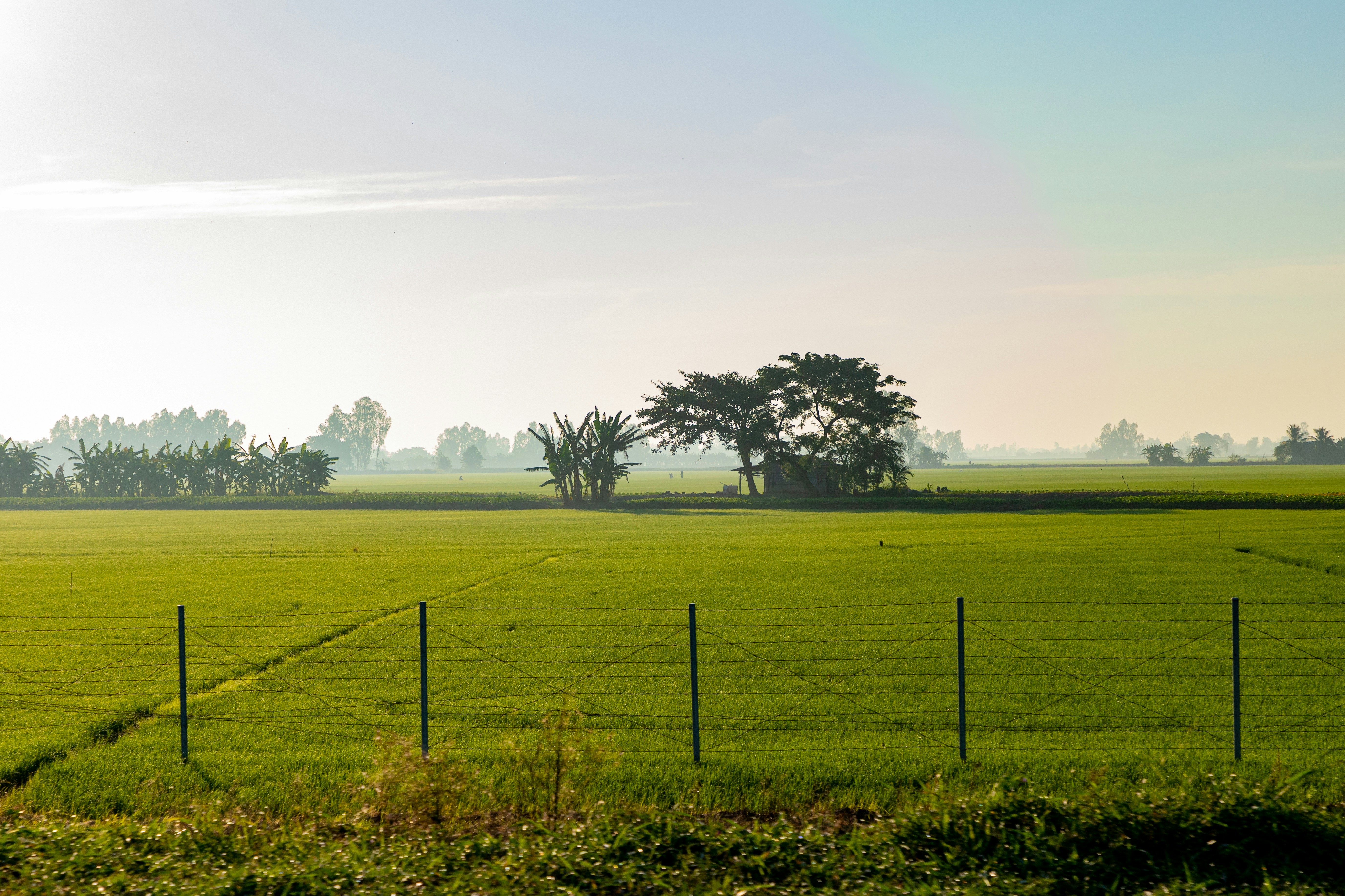 Photo by hiepnguyenduc