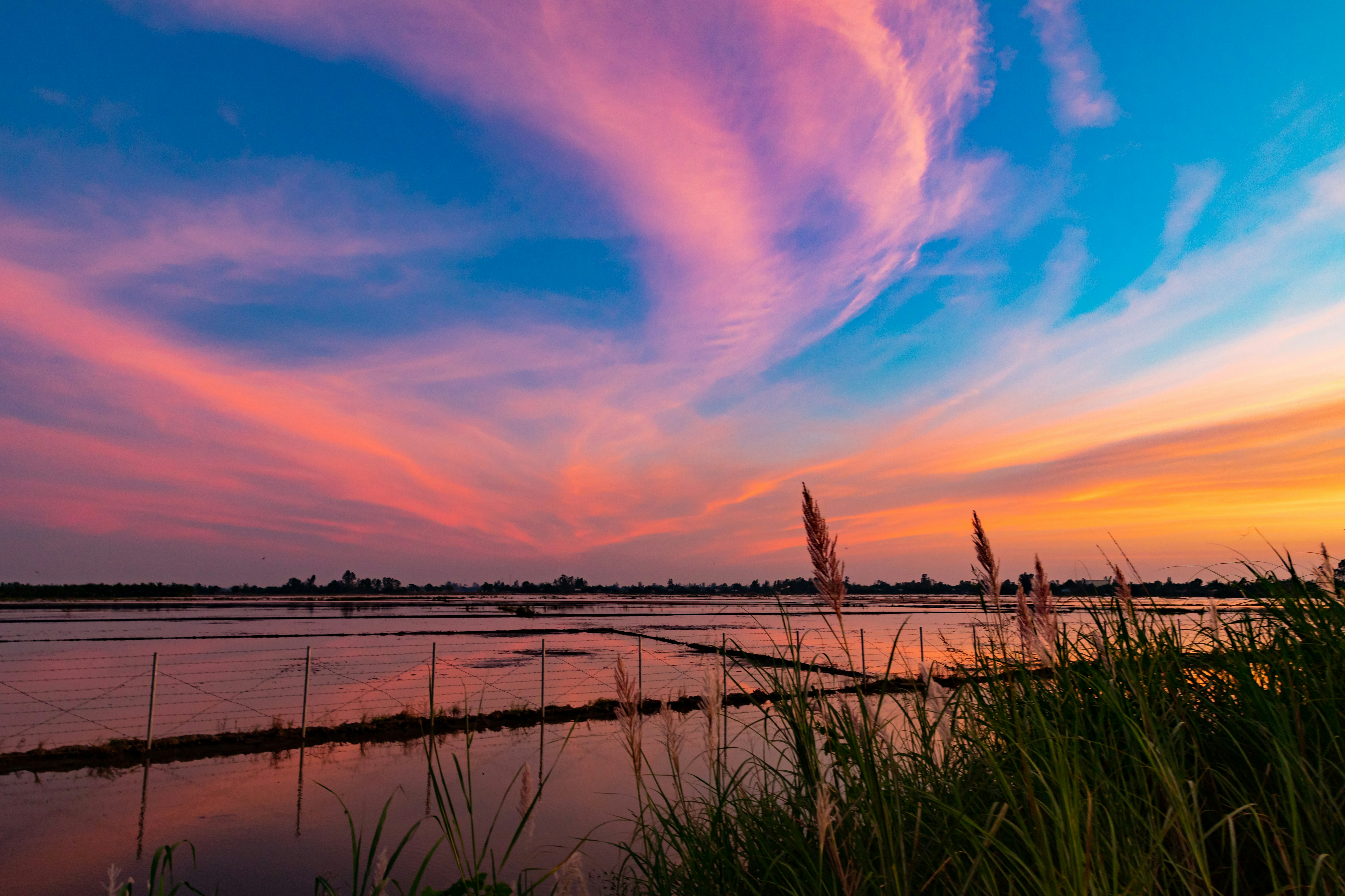 Photo by hiepnguyenduc
