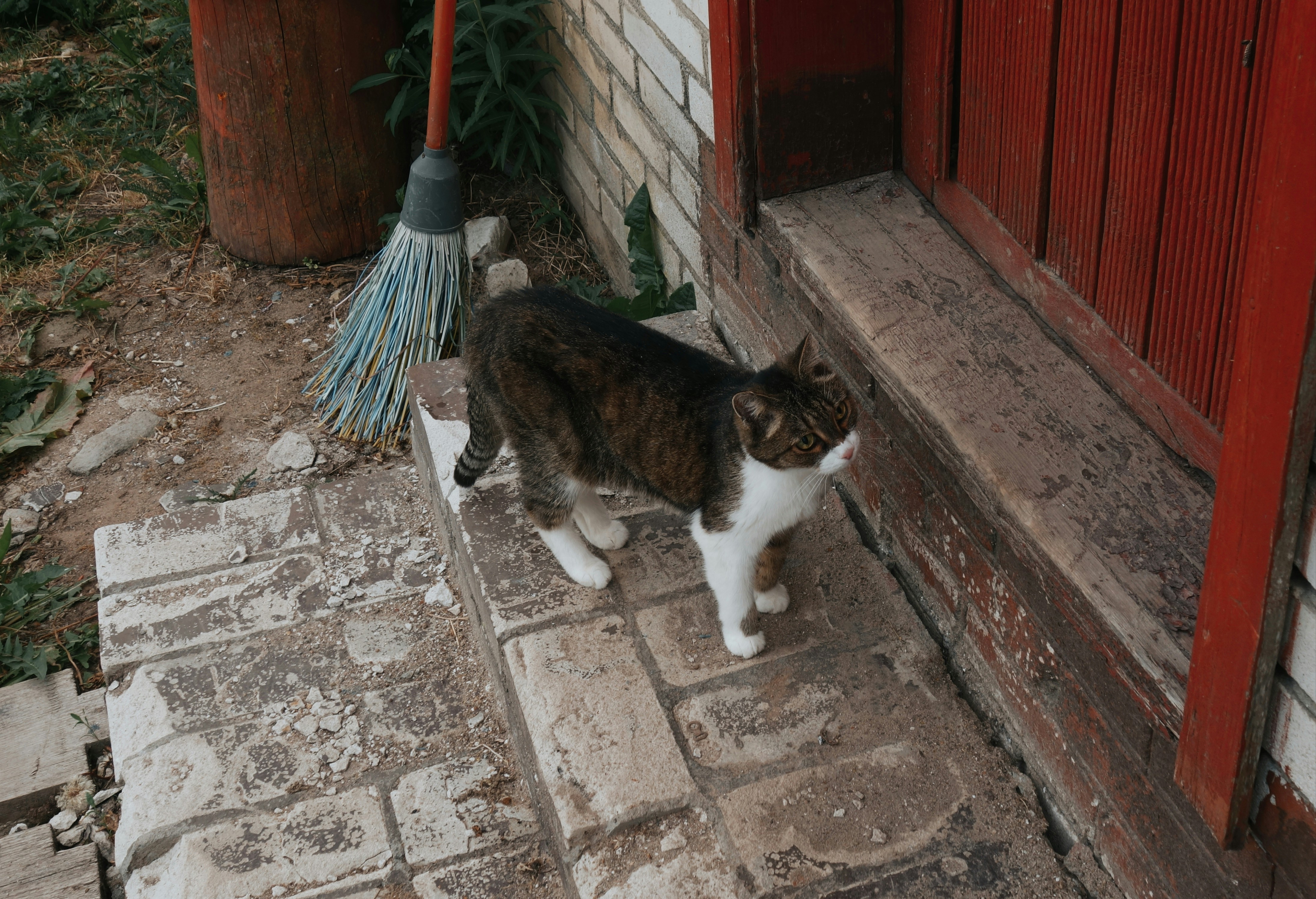 Photo by eugenemagia