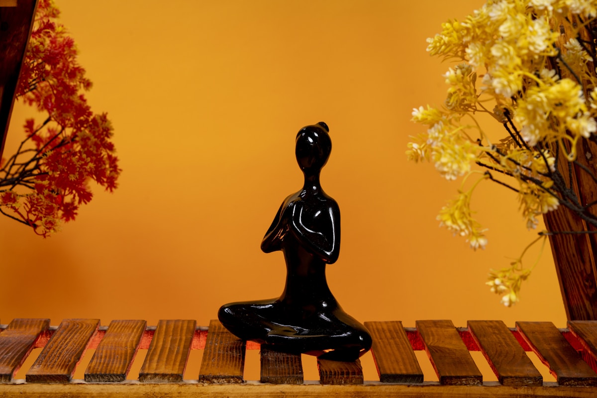 The Warrior Mindset: Unleashing the Champion Within
