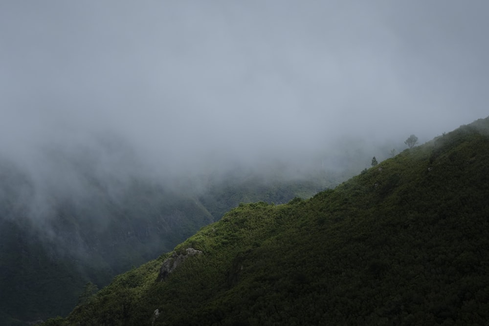 a hill covered in fog and low lying clouds