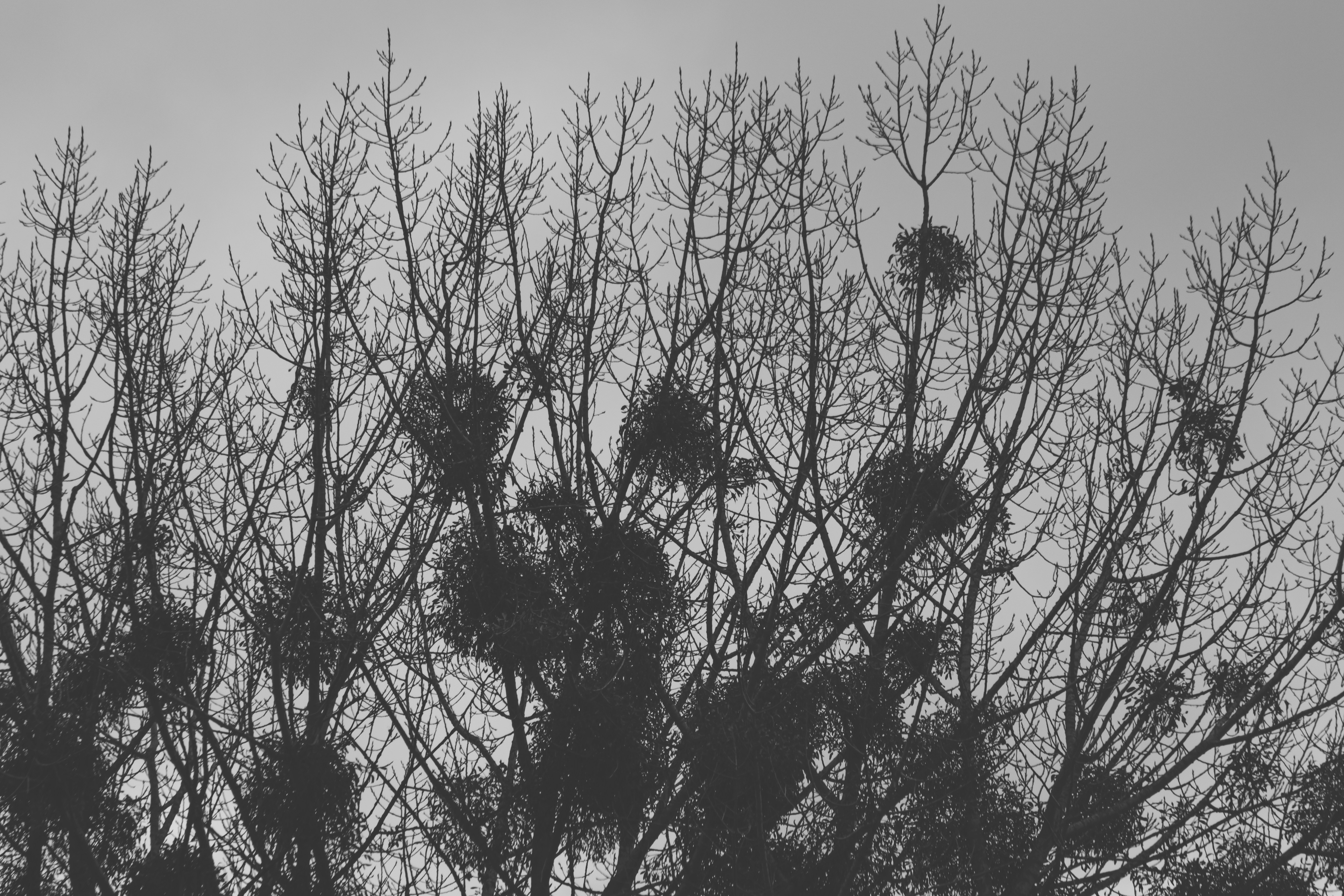 Photo by darkmoon_afa