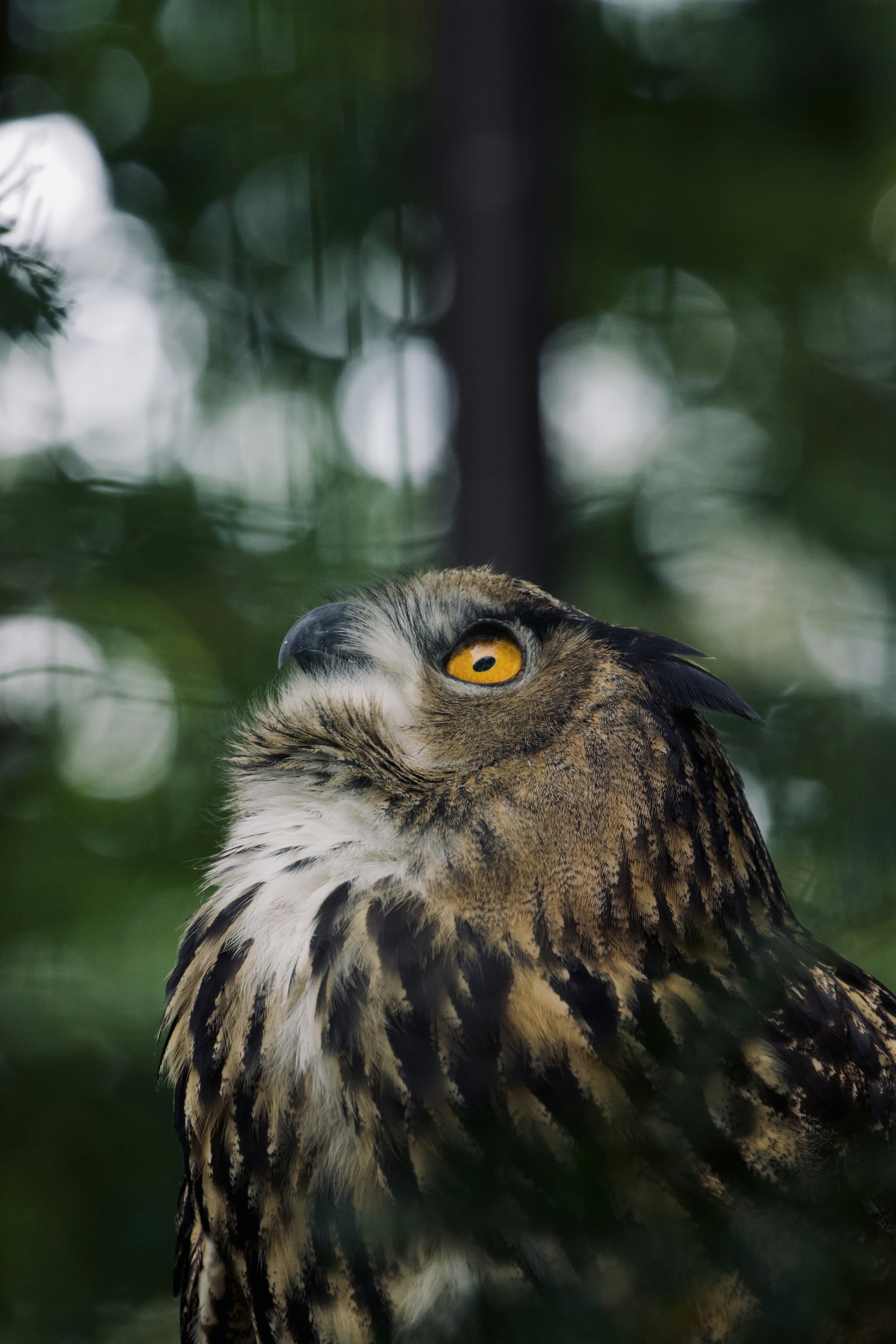 Photo by jakub_neskora