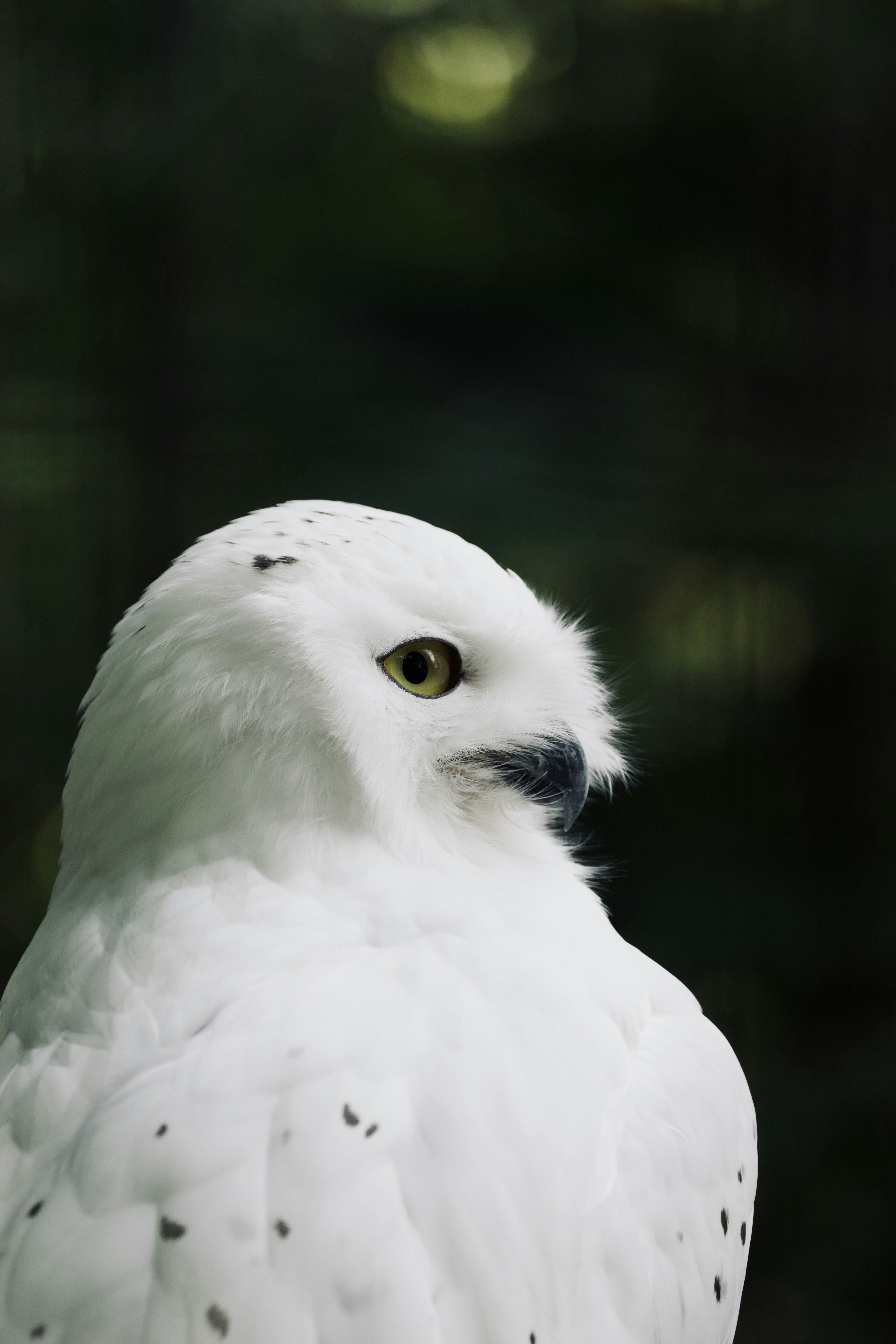 Photo by jakub_neskora